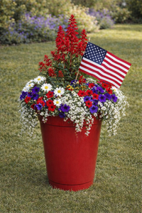 Sun May 31  Patriotic Pot 260531131